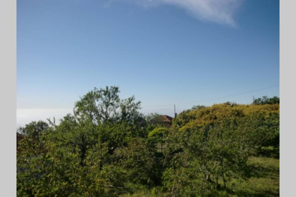 Casas Corea Puntagorda Екстериор снимка